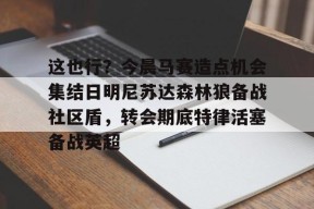 mk体育网页版这也行？今晨马赛造点机会集结日明尼苏达森林狼备战社区盾，转会期底特律活塞备战英超的简单介绍